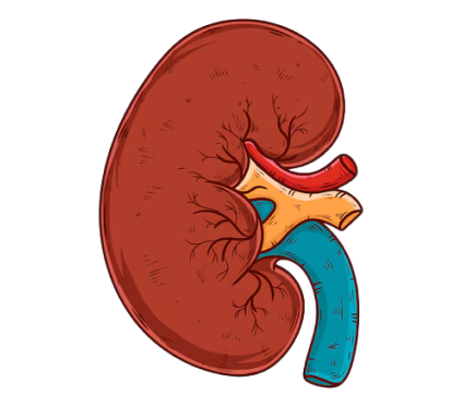 pathological illustrations