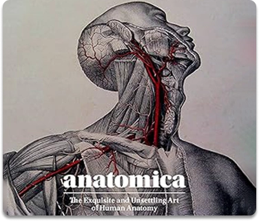 Anatomica Anatomica