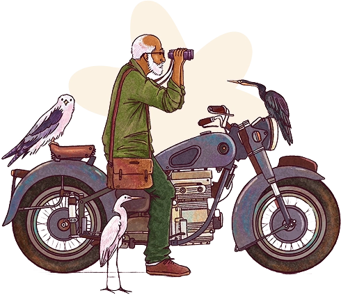 Book Illustration Process Book Illustration Process