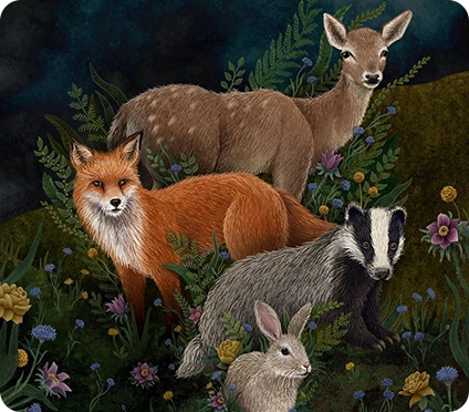 Safari Adventure Stories